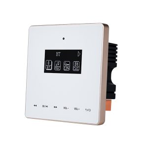 2X20 Auxdio Keypad DM935-Front